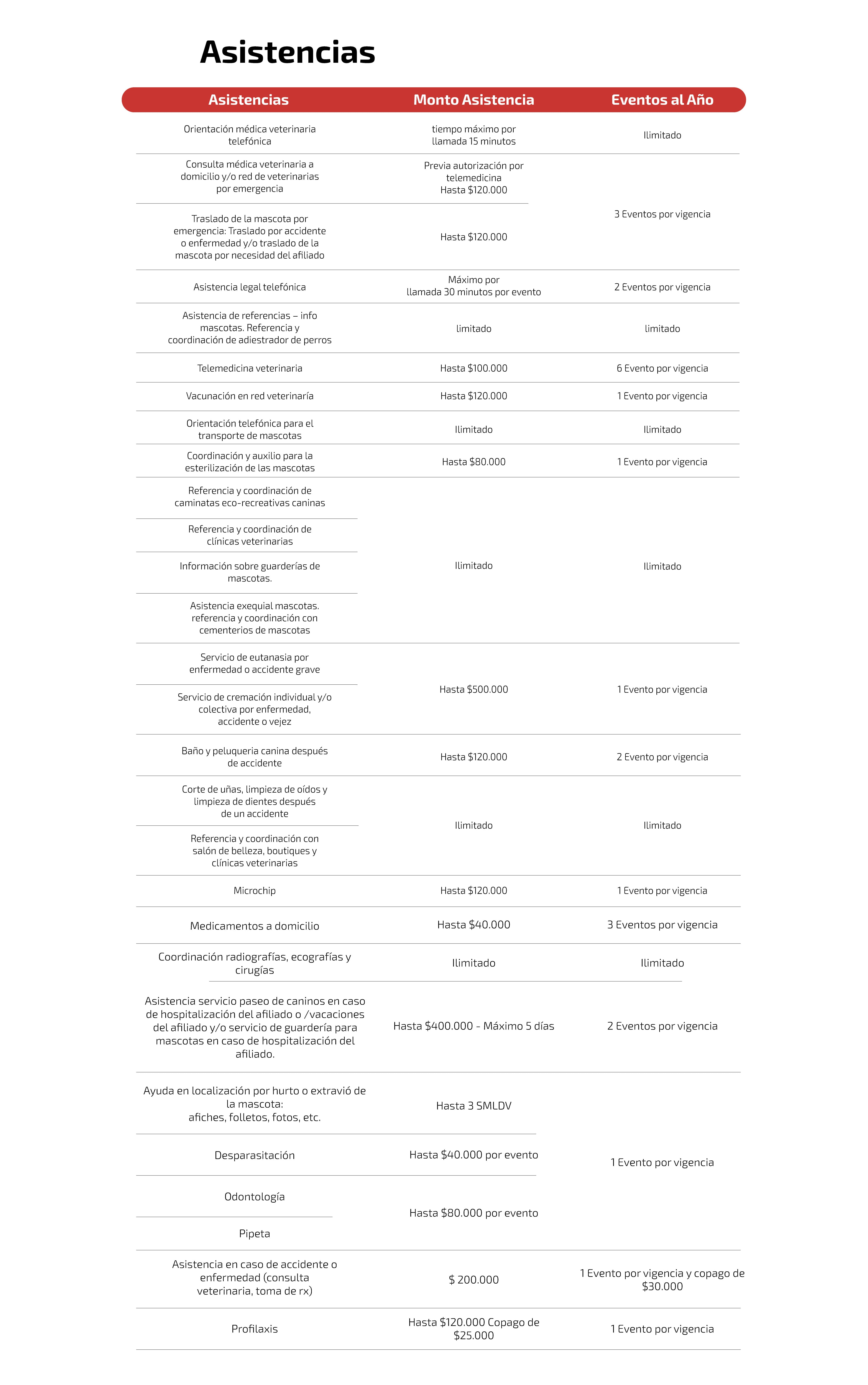 Mascota Segura Premium - imagen 3