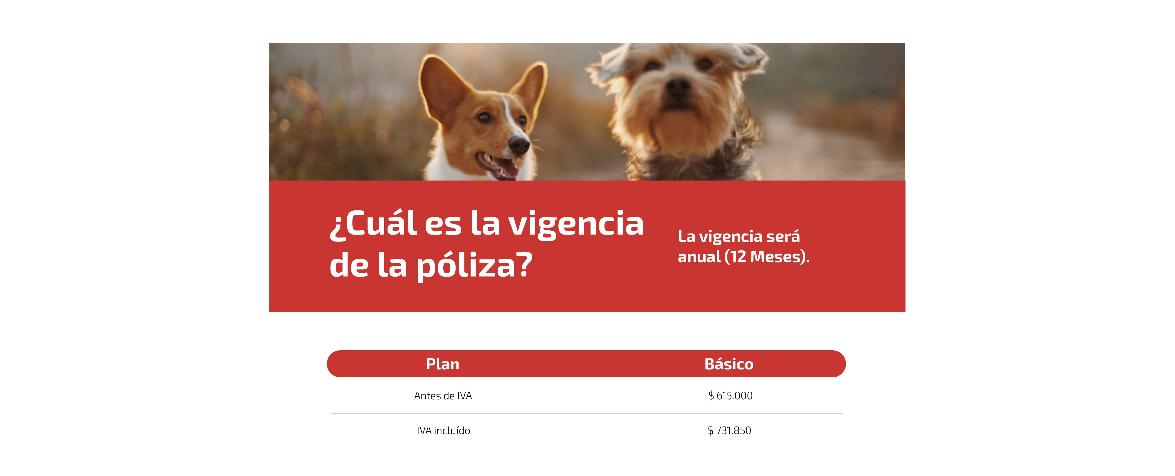 Mascota Segura - imagen 1