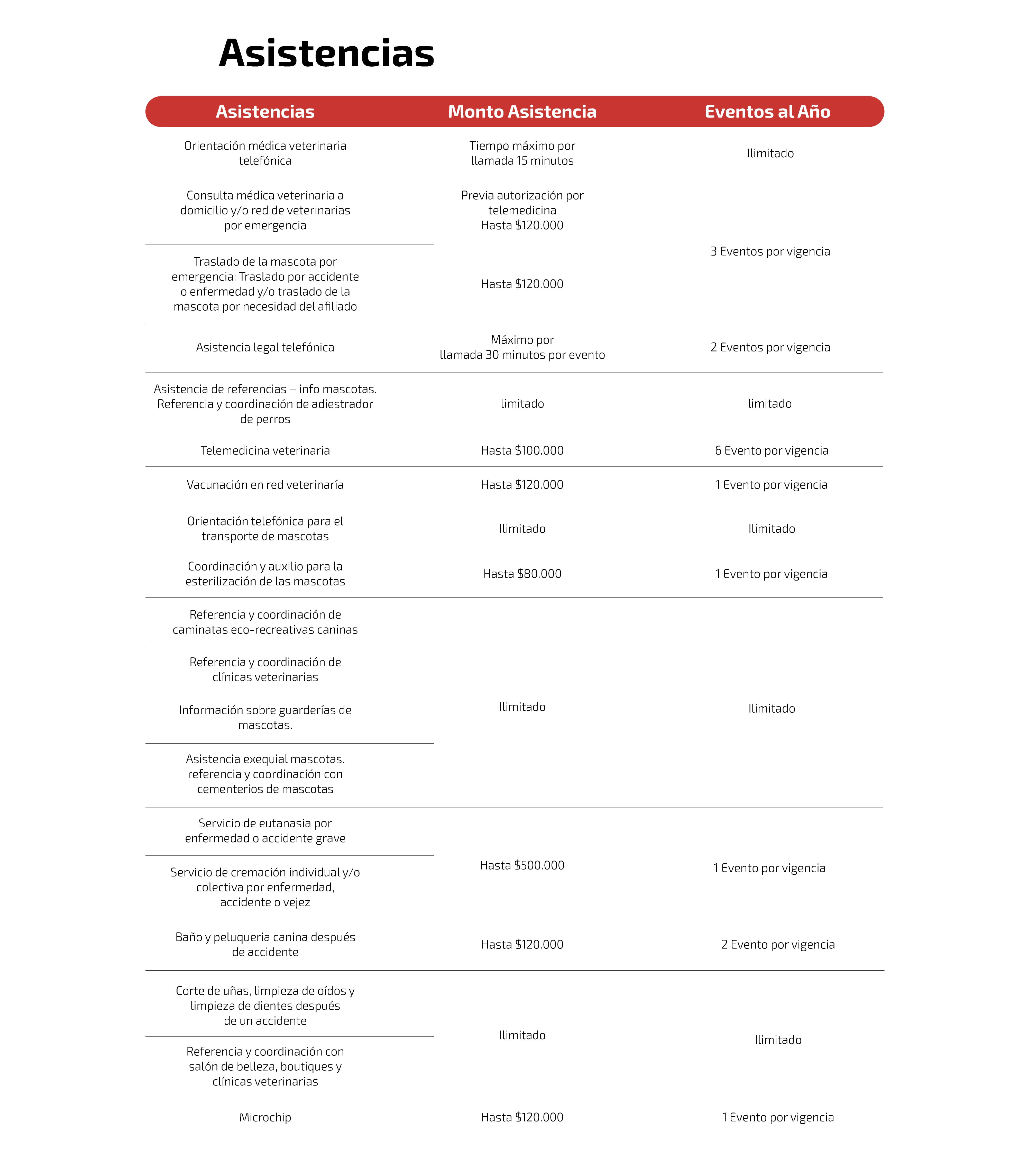Mascota Segura - imagen 3